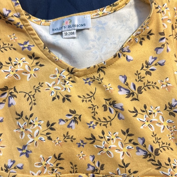 Set of 3 Baileys blossoms toddler girl dresses size 18-24 months - Picture 5 of 7